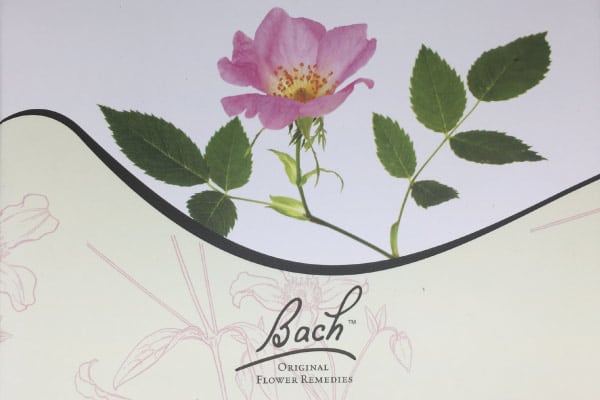 Conseillère fleurs de bach