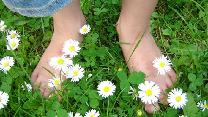 La Réflexologie du Printemps pour une Détox Énergétique